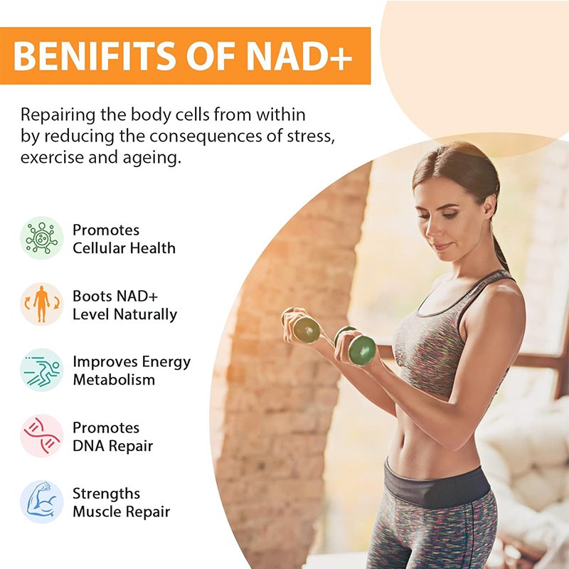 High Absorption NAD+ 500 mg Supplement, Boost NAD+ With TMG 250 mg Support Healthy Aging 60 CAPSULES