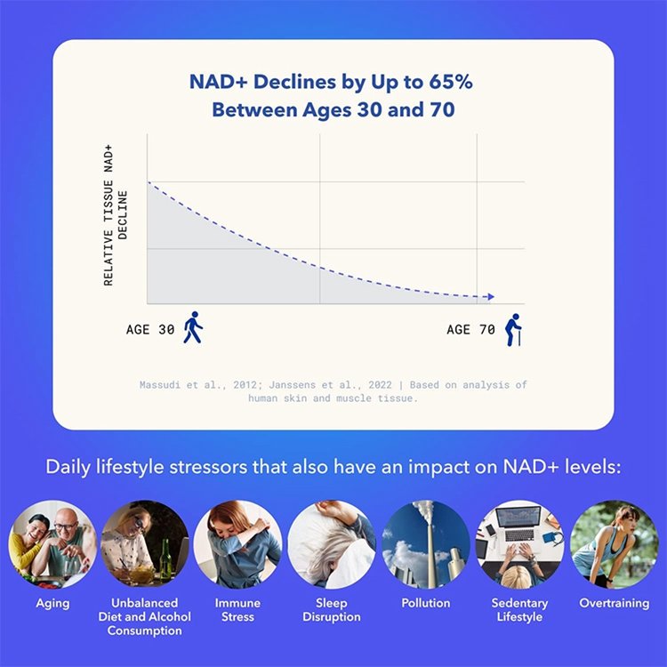 Patented Nicotinamide Riboside NAD+ Supplement 30 Capsules Supports Cellular Energy Metabolism & Repair