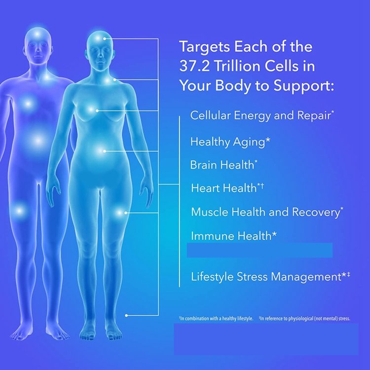 Patented Nicotinamide Riboside NAD+ Supplement 30 Capsules Supports Cellular Energy Metabolism & Repair