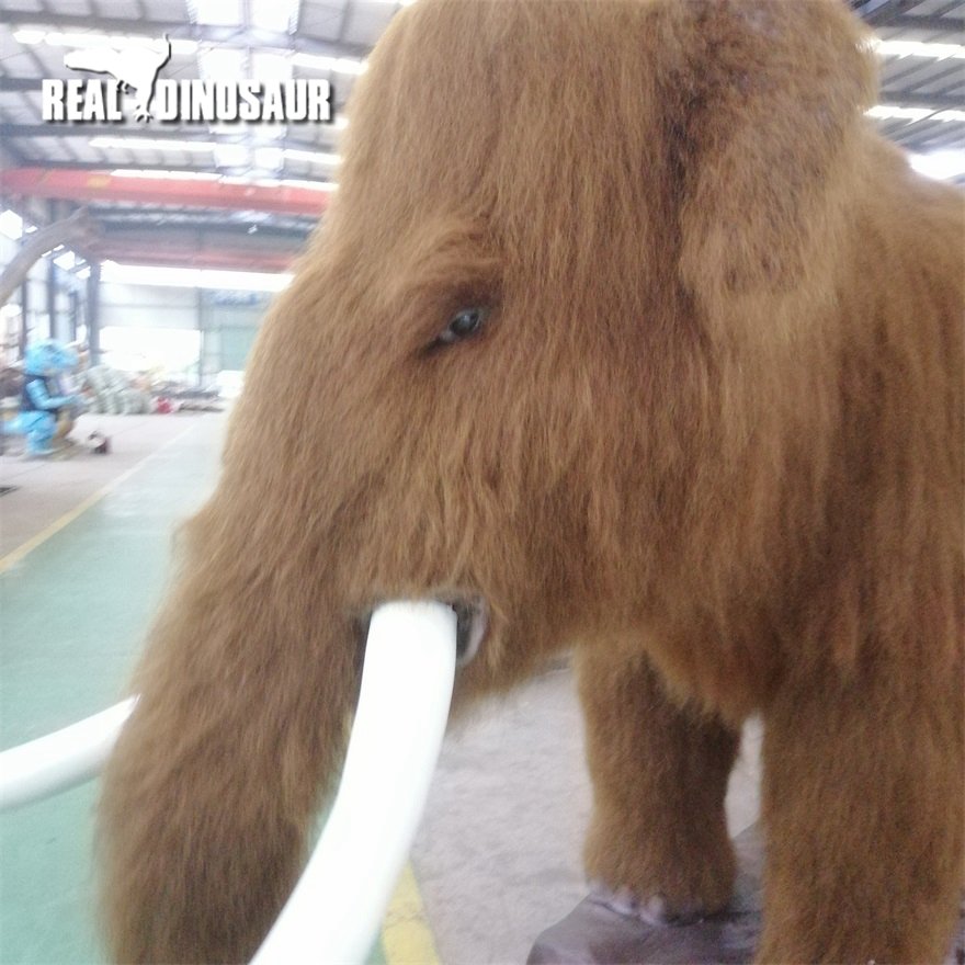 Life Size Animated Model Realistic Animatronic Animals For Sale