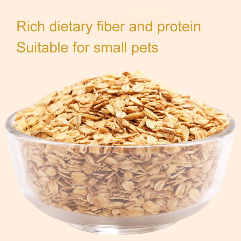 China Animal Feed Hamster Snacks Oat Meal
