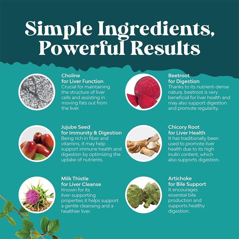Herbal Liver Support Supplement With Milk Thistle Dandelion Root Turmeric And Artichoke Extract Silymarin Milk Thistle