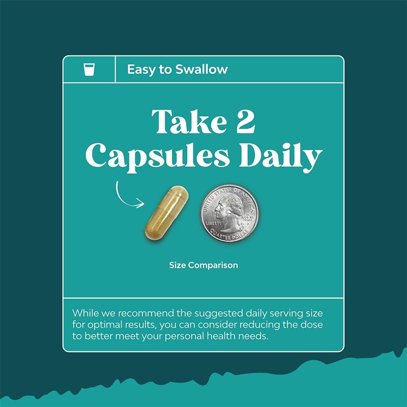 Herbal Liver Support Supplement With Milk Thistle Dandelion Root Turmeric And Artichoke Extract Silymarin Milk Thistle