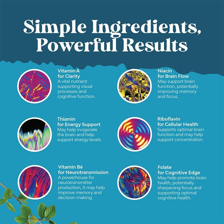 OEM Advanced Nootropics Brain Supplement Synergetic Mental Energy and Focus Supplement with Vitamins for Cognitive Enhancement