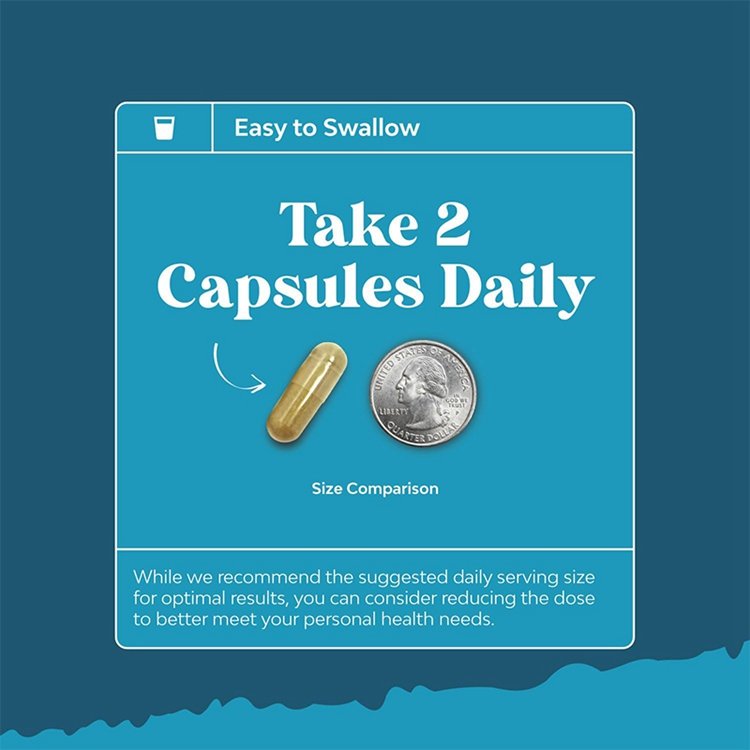 OEM Advanced Nootropics Brain Supplement Synergetic Mental Energy and Focus Supplement with Vitamins for Cognitive Enhancement