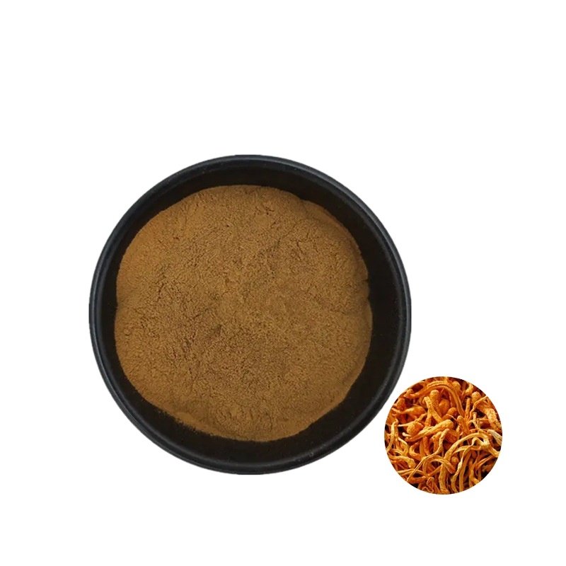 100% Pure Cordyceps Militaris Mushroom Extract Powder Organic Cordyceps Militaris Extract