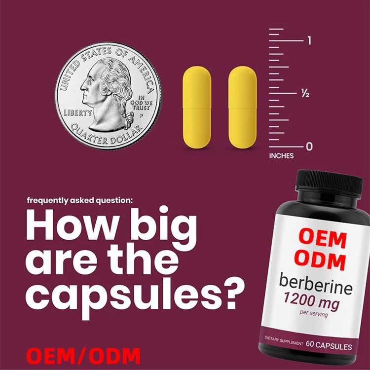 60 Capsules Berberine Supplement 1200mg Per Serving Berberine HCI Berberine Plus