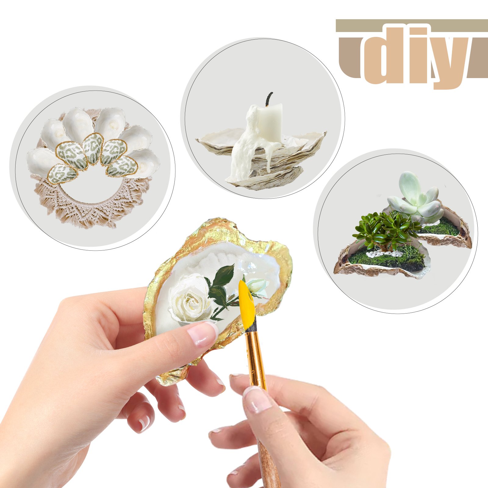 Oyster Shells DRILLED Bulk Craft Ornaments for Bridesmaid Beach Craft Trinket Dish Decoupage Wedding Place Card