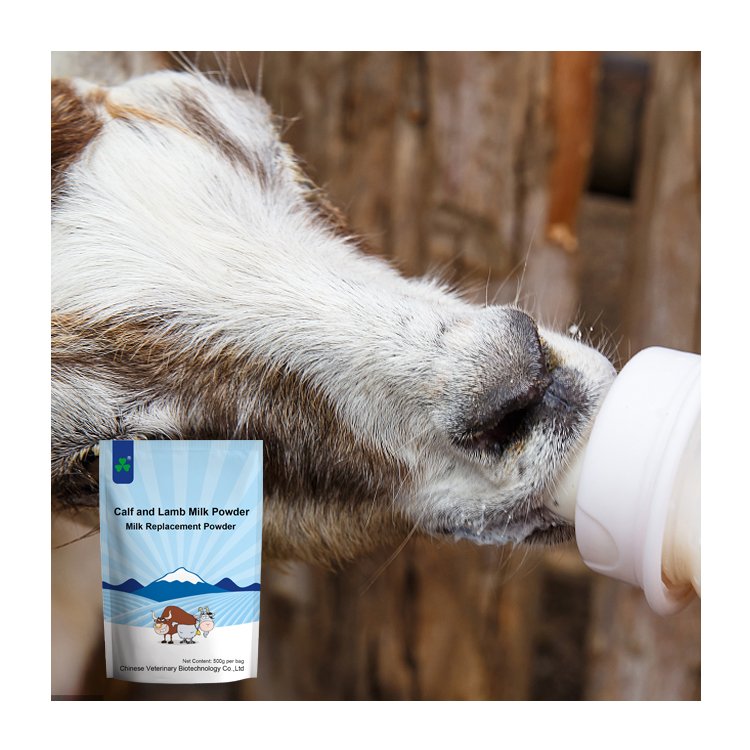 cattle goat cow feed additive increase litter size animal birth booster new born calf and lamb birth Rate improve for livestock