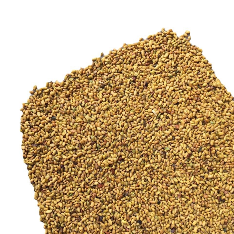Pigeon Bird Food Seed Alfalfa Seeds