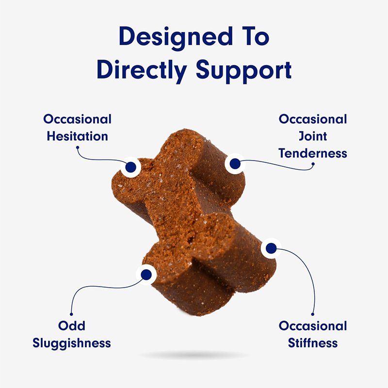 Private Label High quality Hip and Joint Supplement for Dogs to Actively Support Mobility Omega 3 Pets Joint Care Chews