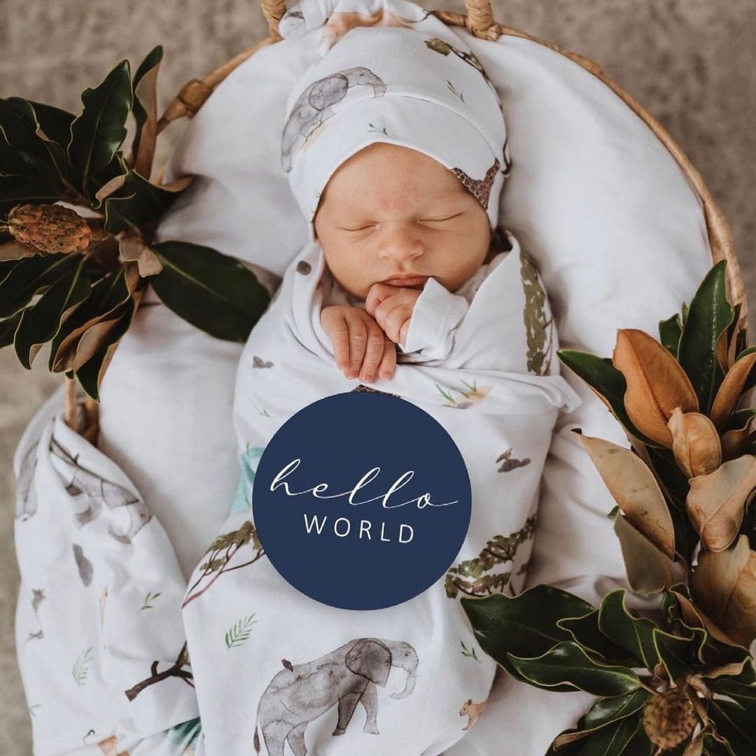 Custom Wood discs baby monthly milestone card wooden baby shower with bag