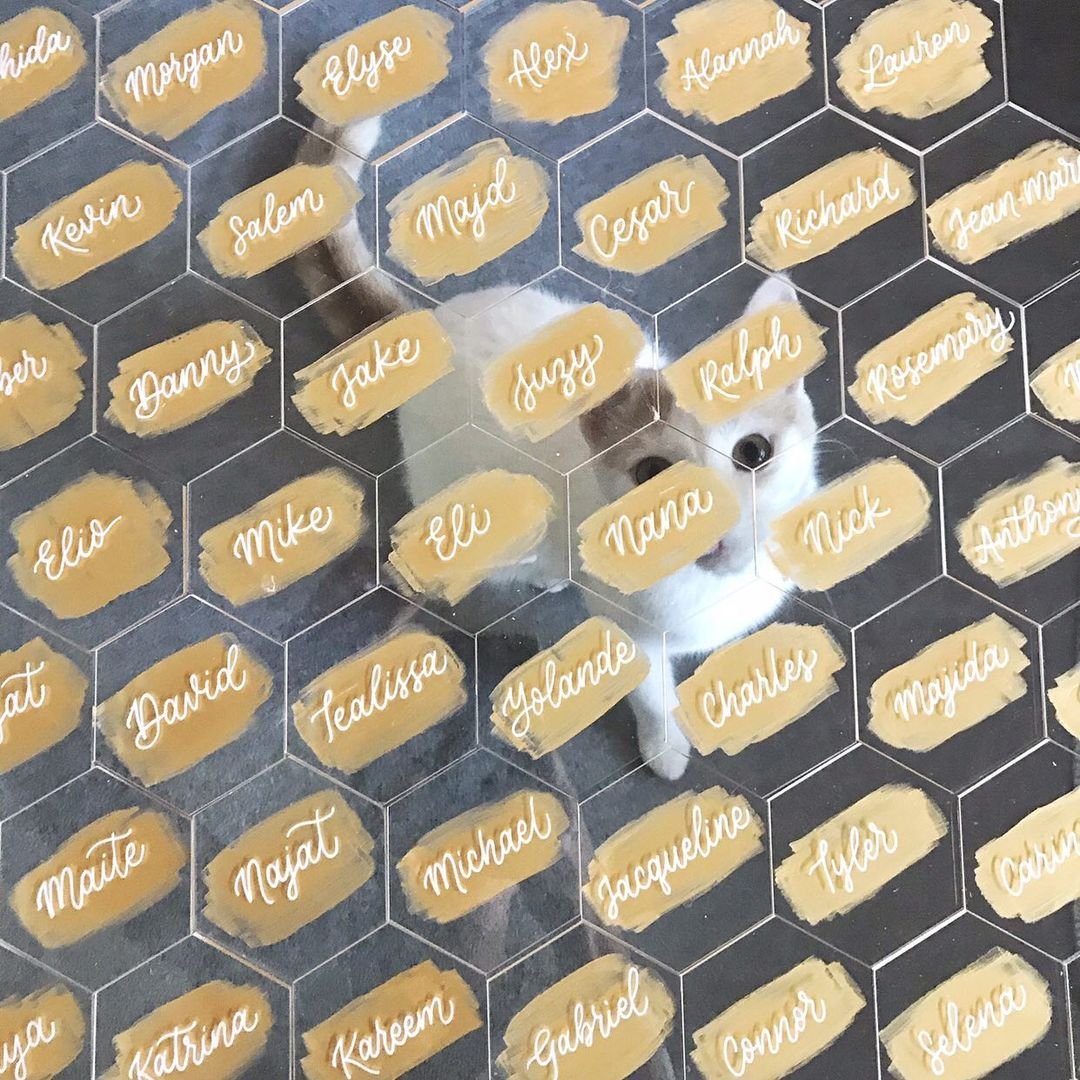 Blank Acrylic Escort Plates Name Cards Clear Acrylic Place Cards for Wedding