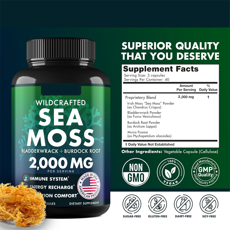 OEM Private Label Bladderwack Capsules Organic Irish Sea Moss Capsules