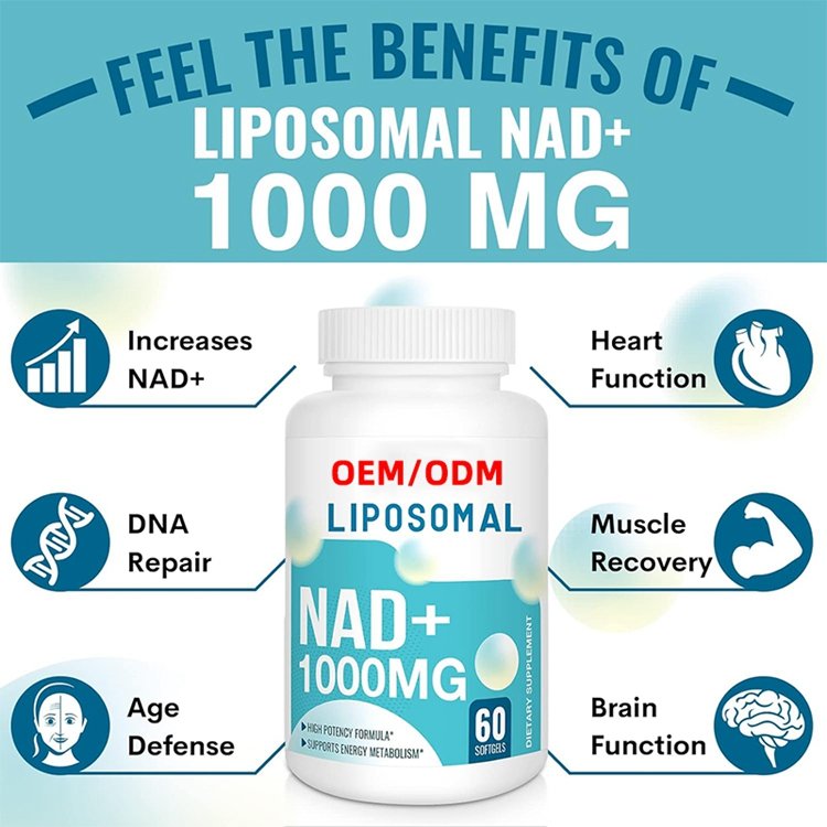 Brain Function 60 Capsules NAD+ Supplement 1000 mg Highest NAD Potency Max Absorption Pure NAD Supplement Energy and DNA Repair