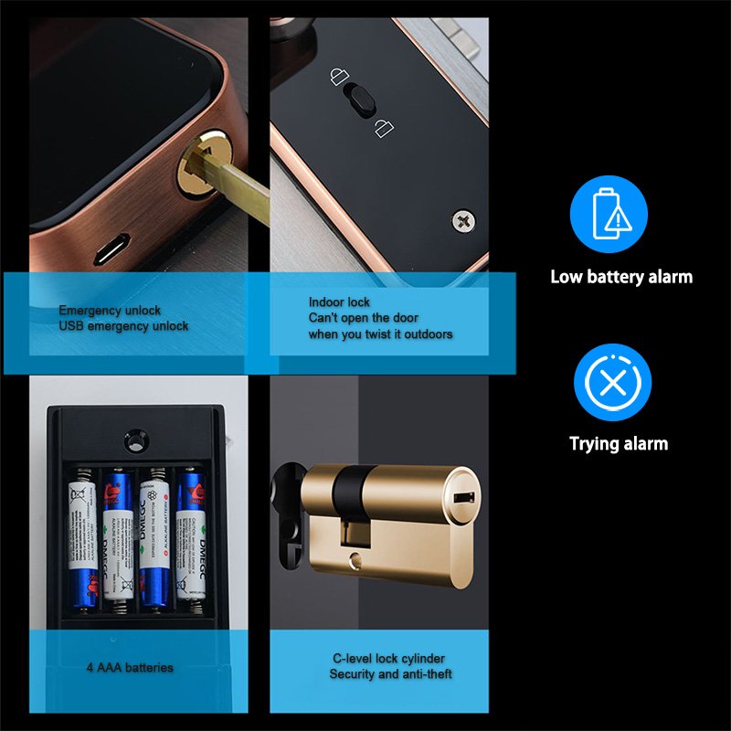 Tuya Wifi Electronic Smart Door Lock With Fingerprint Smart Card Password Key Unlock USB Emergency Charge