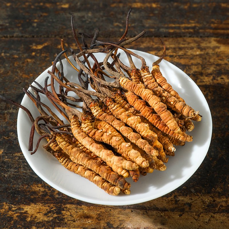 Traditional Chinese Medicine Herb Dried Caterpillar Fungus Tibetan Cordyceps
