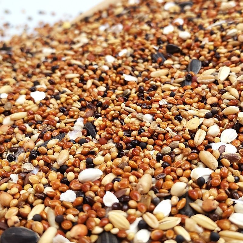 Pet Food Manufacturers Birdseed Garden Bird Feed