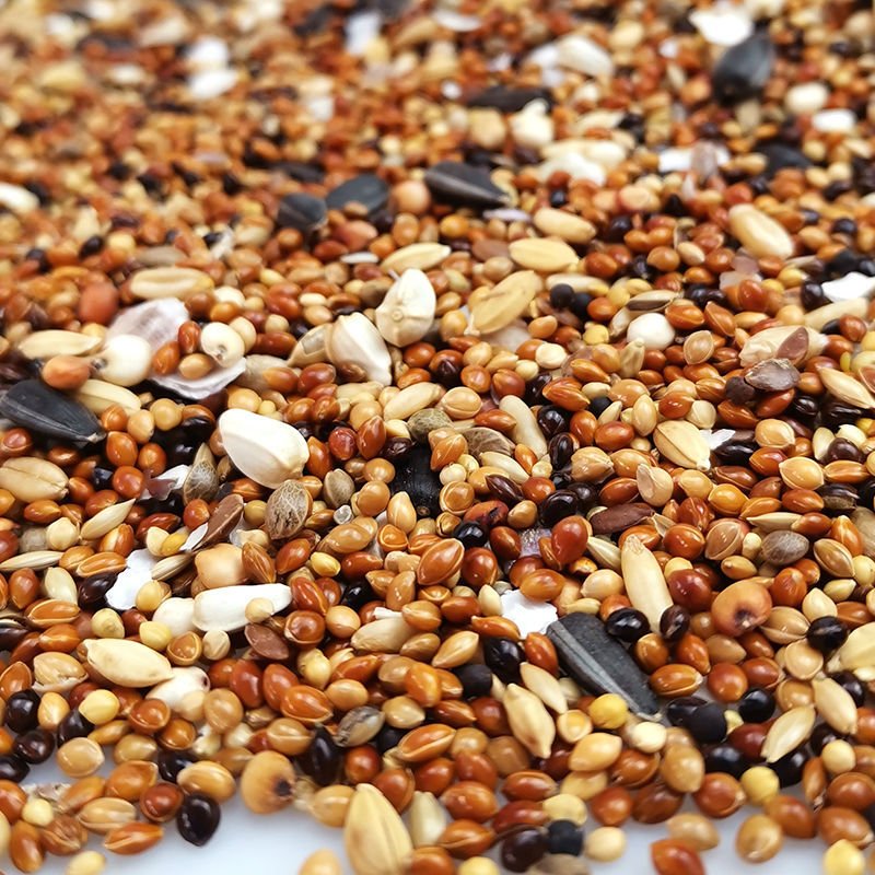 Pet Food Manufacturers Birdseed Garden Bird Feed