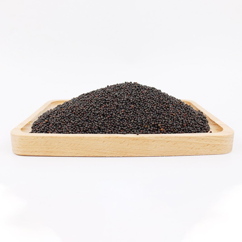 Exporter Hot Sale Healthy Cooking Mustard Seeds