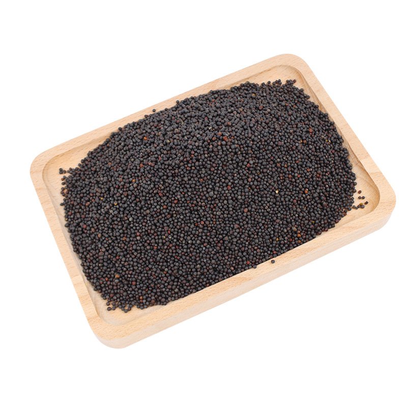 Exporter Hot Sale Healthy Cooking Mustard Seeds