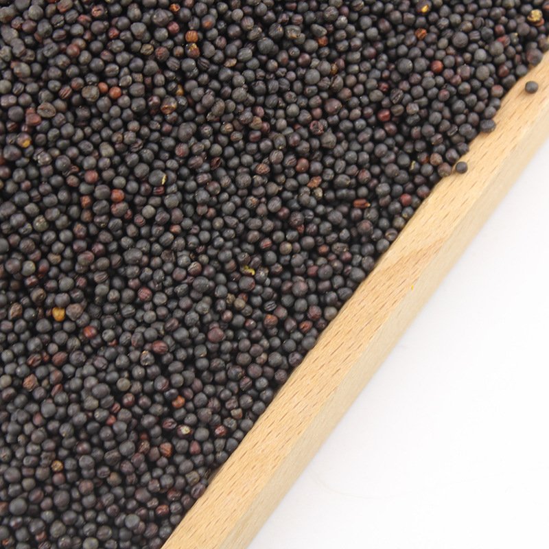 Exporter Hot Sale Healthy Cooking Mustard Seeds