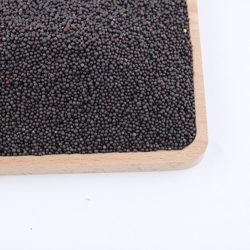 Exporter Hot Sale Healthy Cooking Mustard Seeds