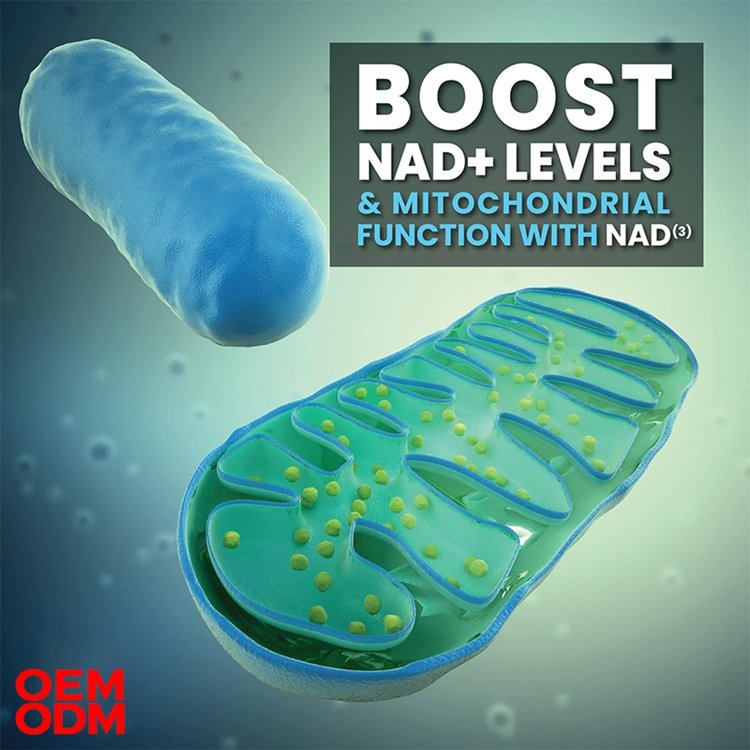 Nicotinamide Riboside Alternative 60 Veggie Capsules NAD+ Booster (NAD3) NRF2 Activator Anti Aging Cell Booster NAD Supplement