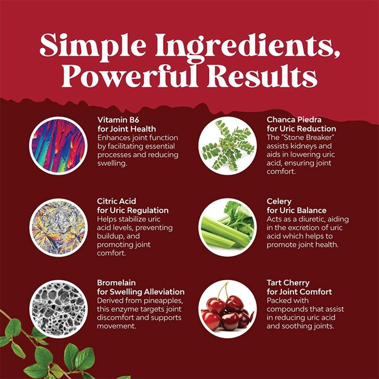 90 Capsules Herbal Uric Acid Cleanse and Detox Essential Daily Kidney Cleanse and Uric Acid for Joint Supplement