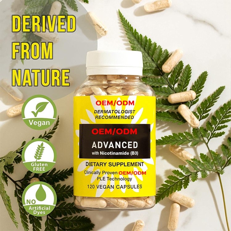 Nicotinamide B3 Supplement 120 Vegan Capsules for Skin Cell Health W Antioxidant Rich Vitamin B3 Niacin