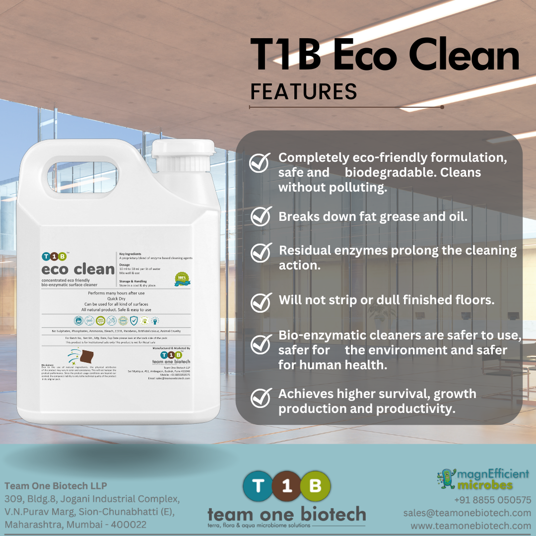 Safe for the Environment Cleaner for Commercial Properties