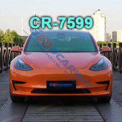CR-7599