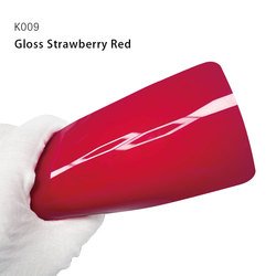 K009