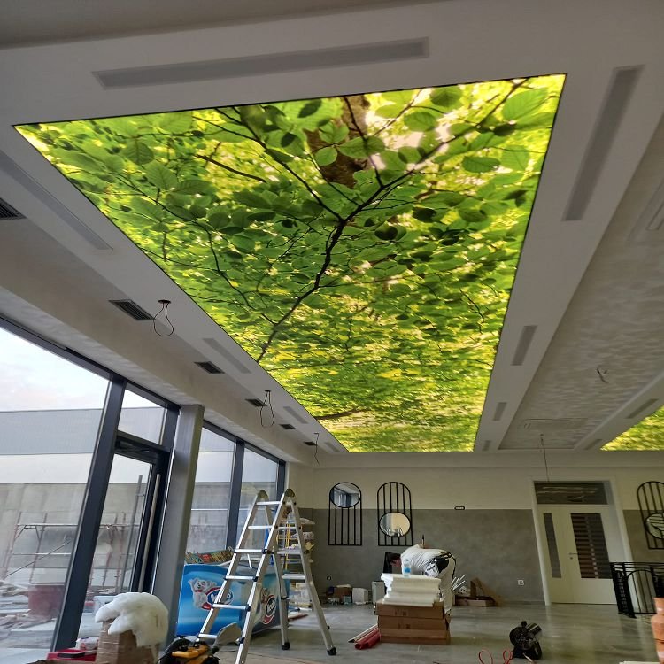 Indoor Environmental Protection Materials Stretch Ceiling Decoration Film luxury lounge lobby translucent and printed film