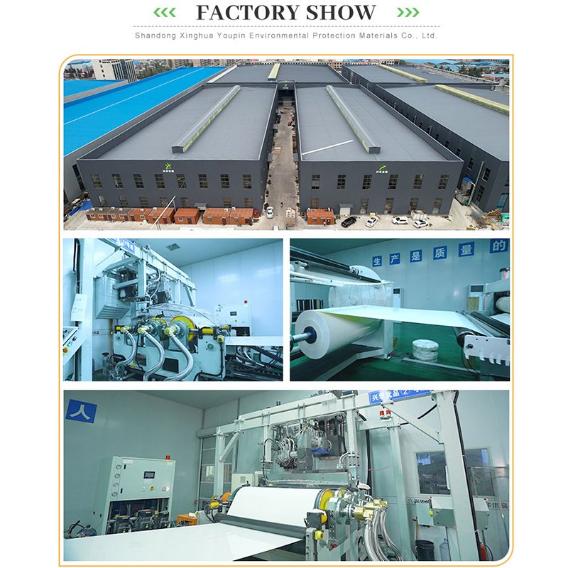 Leading Manufacturer PETG Decorative Film High Glossy Roll Film