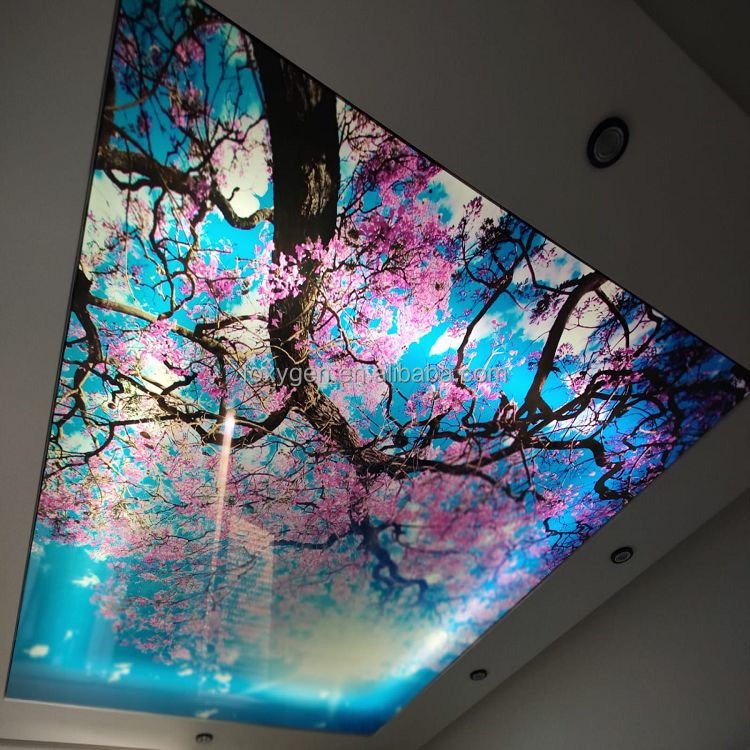 FOYXGEN 3D Decorative PVC Stretch ceiling fabric MSD Premium quality installation accessories aluminum profile spatulas