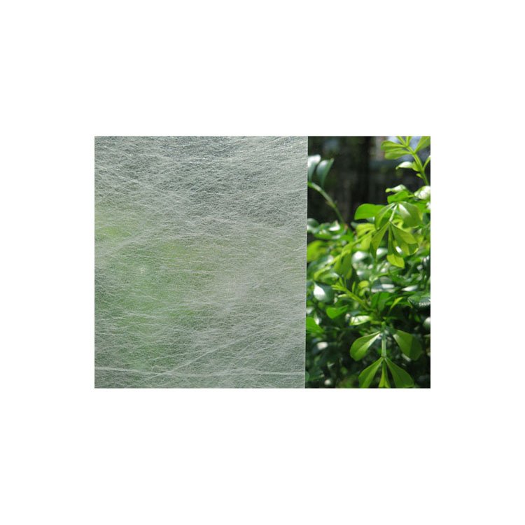 Color / Frosted Decorative Window Films