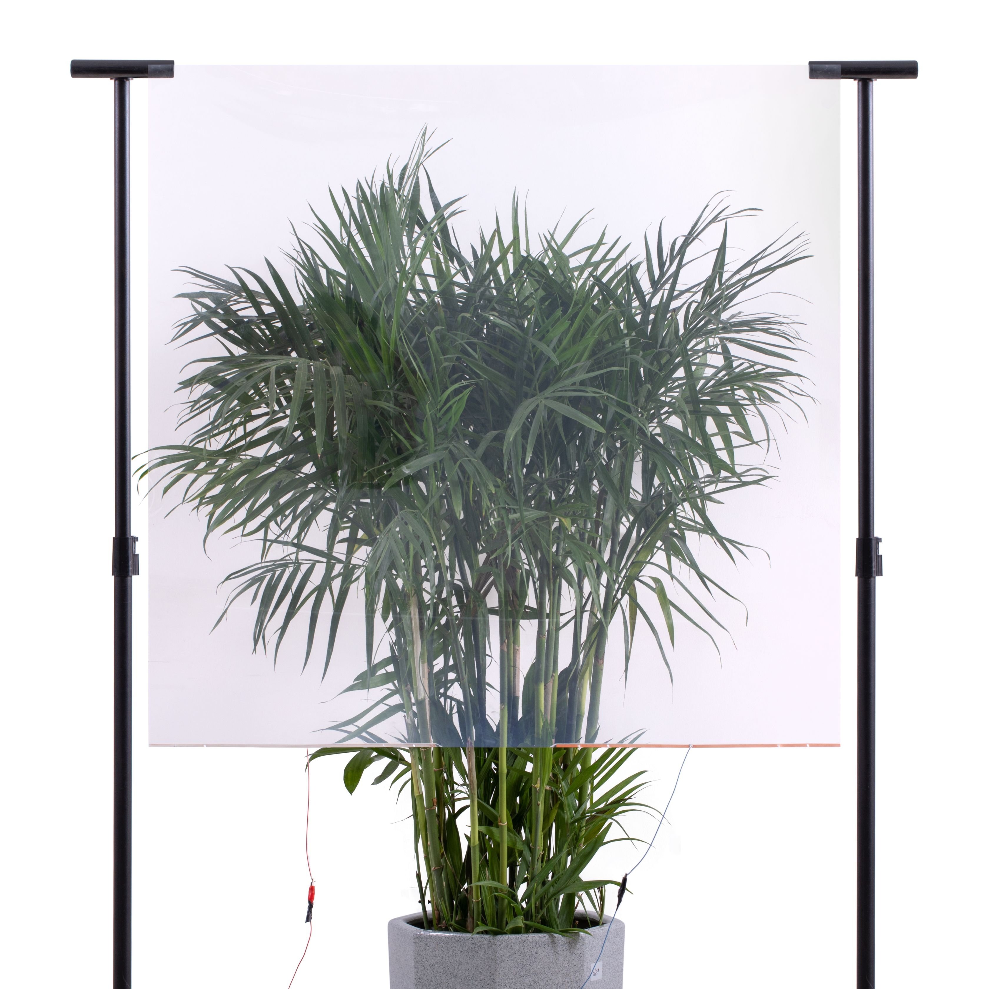 Ultra transmittance technical advice Customizable Unidirectional perspective Self-adhesive smart film