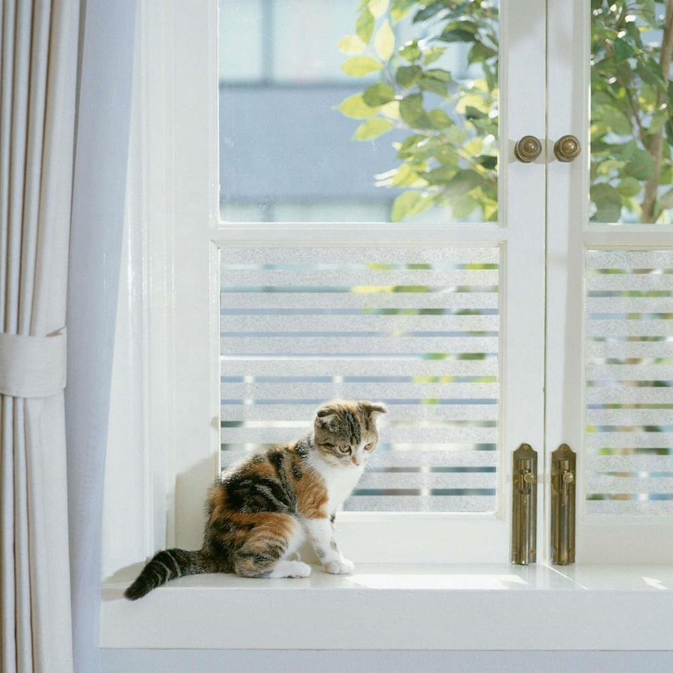 New design Self Adhesive PVC 3D China Manufacturer Windows Glass Film Static Window Film