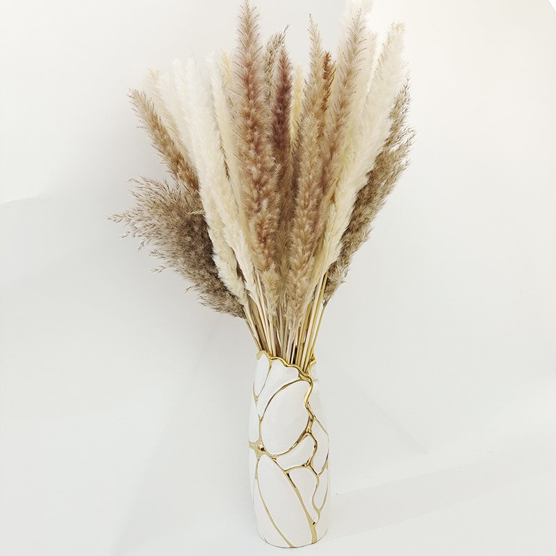 Hot Selling Yunnan Wholesale Natural Dried Flowers 15pcs/pack Small Pampas Grass Decor