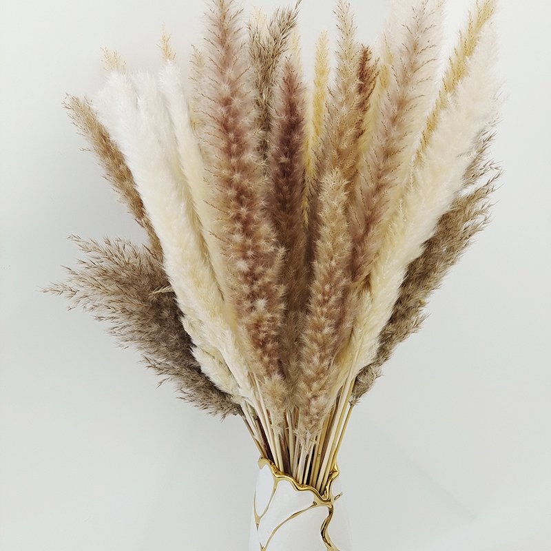 Hot Selling Yunnan Wholesale Natural Dried Flowers 15pcs/pack Small Pampas Grass Decor