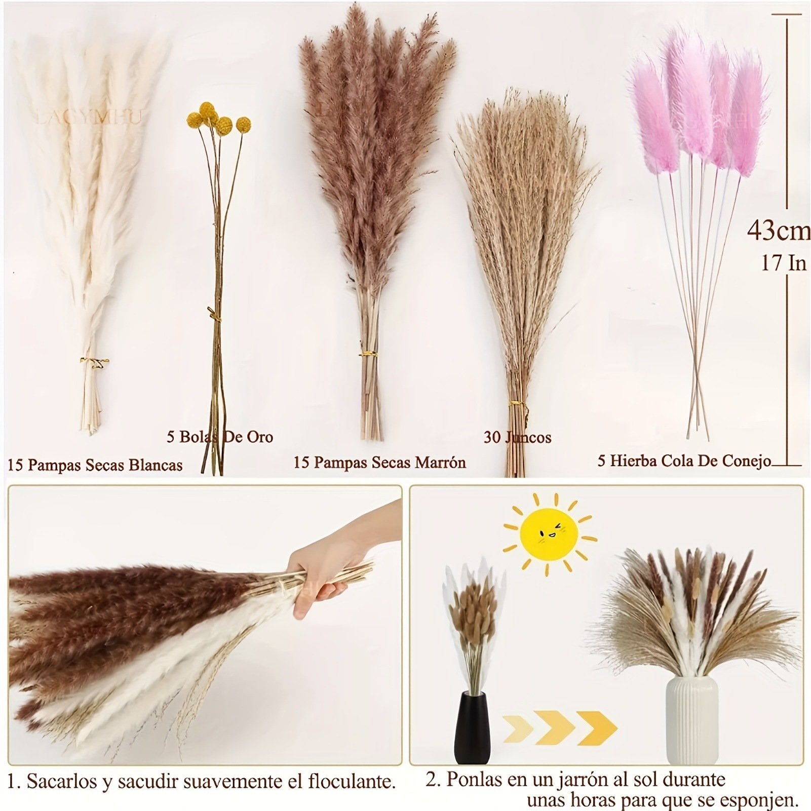 Pampas Grass Beautiful Decoration New Year Bag Carton Box Easter Decoration Natural Chinese Arch Flower for Wedding Christmas