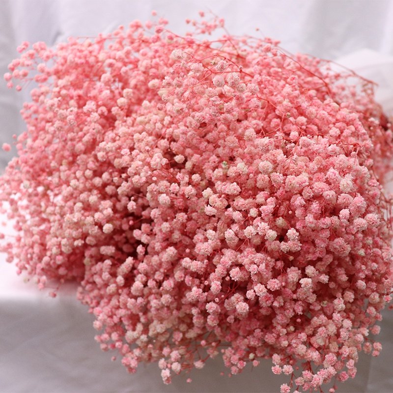 Wholesale Present For Women Romantic Dried Flowers Bouquet Preserved Gypsophila Flower Preserved Dried Gypsophila Baby Breath