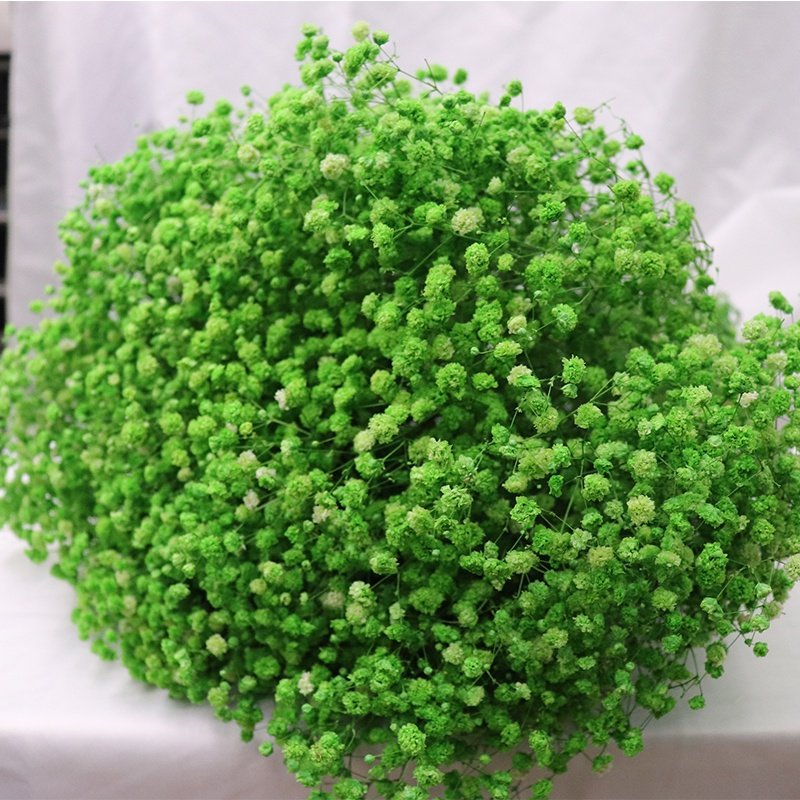 Wholesale Present For Women Romantic Dried Flowers Bouquet Preserved Gypsophila Flower Preserved Dried Gypsophila Baby Breath