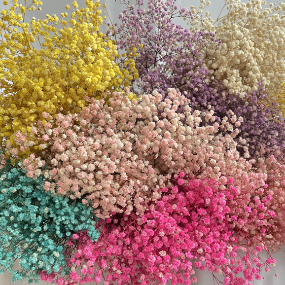 Wholesale Present For Women Romantic Dried Flowers Bouquet Preserved Gypsophila Flower Preserved Dried Gypsophila Baby Breath