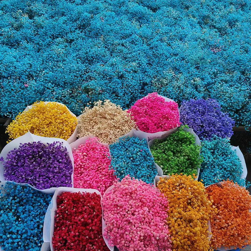 Wholesale Present For Women Romantic Dried Flowers Bouquet Preserved Gypsophila Flower Preserved Dried Gypsophila Baby Breath