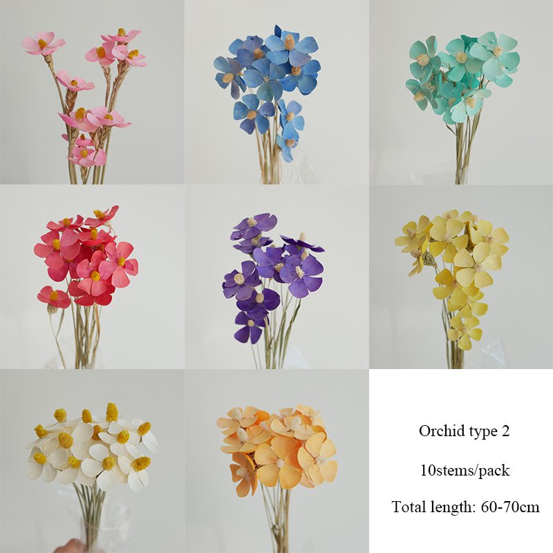 Wholesale Preserved Flower Orchid Dried Violet Flower Matthiola Incana Gillyflower For Floral Arrangement Christmas Decorations