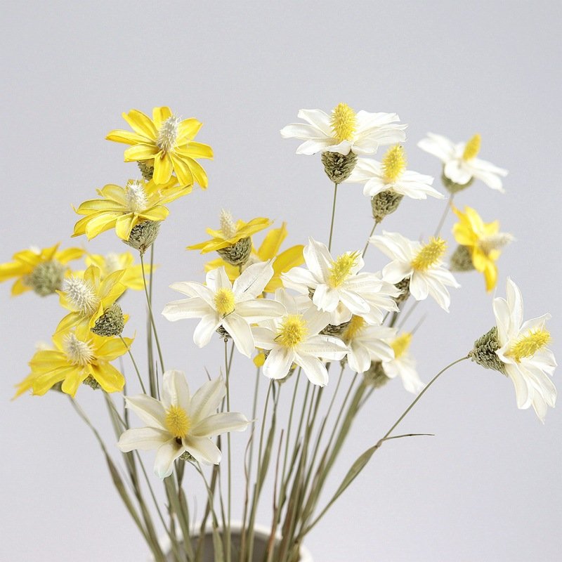 Wholesale Preserved Flower Orchid Dried Violet Flower Matthiola Incana Gillyflower For Floral Arrangement Christmas Decorations