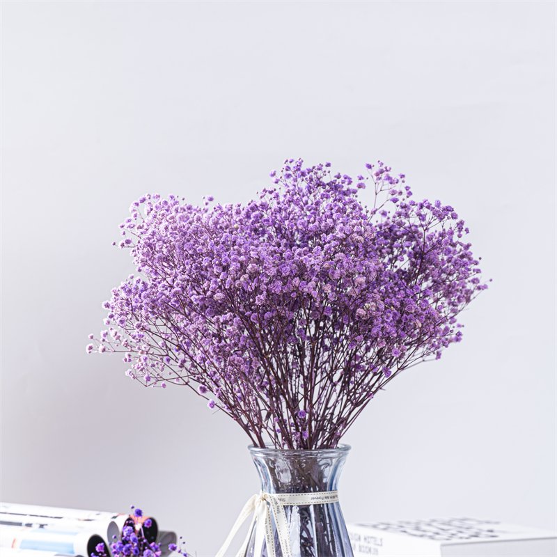 natural dried white gypsophila paniculata flower preserved baby's breath baby breath flowers for wedding home events decorations