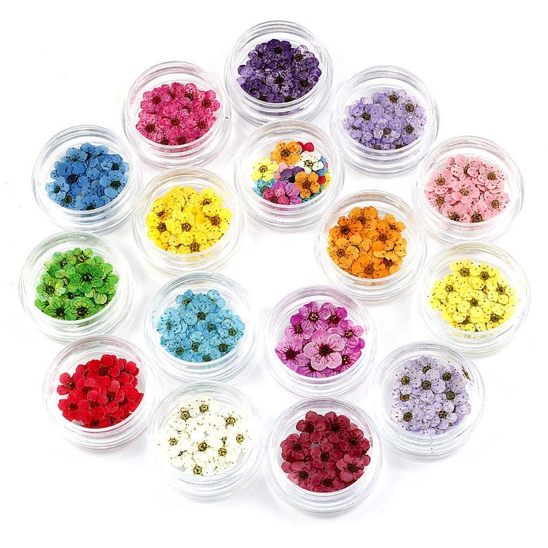 20 pcs Little Box Packs Pressed and Dried Little Plum Flowers for Nail Resin Crafts Decorated